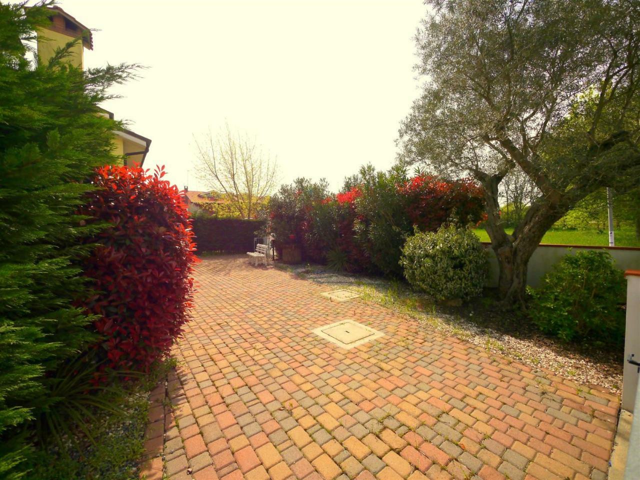 Villa Fiori Dalia Лидо ди Помпоза Екстериор снимка
